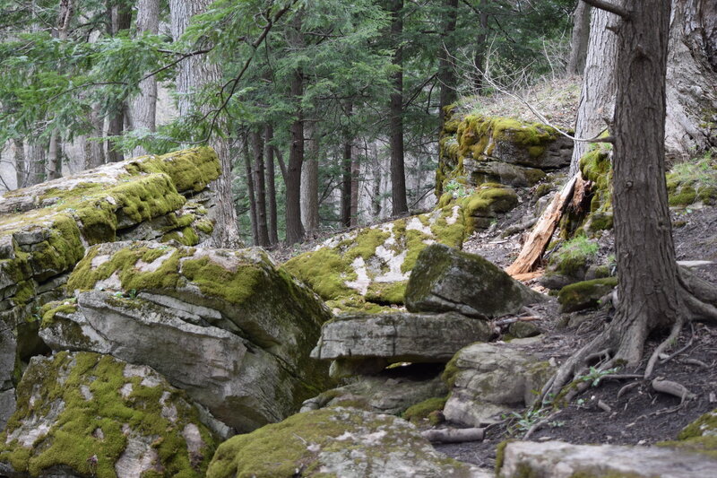 Beautiful rocky landscape.