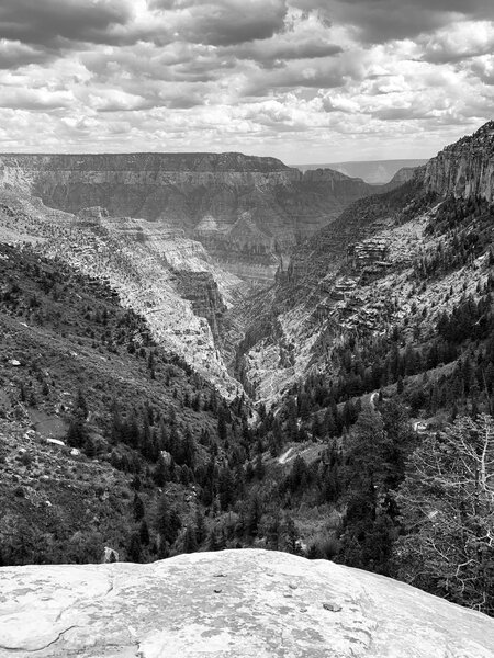 Coconino Overlook, N. Kaibab Trail