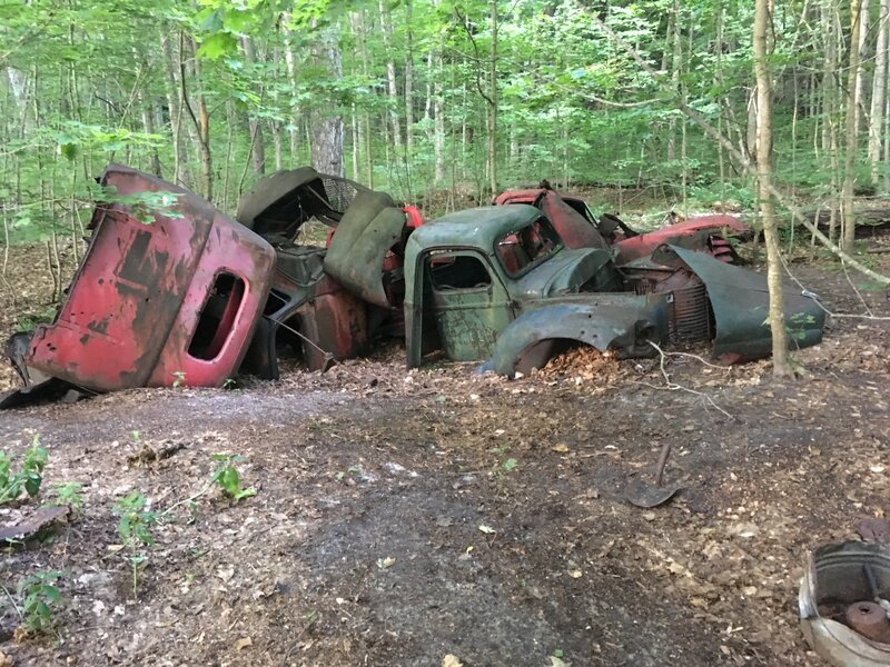 Remains of a lumber camp