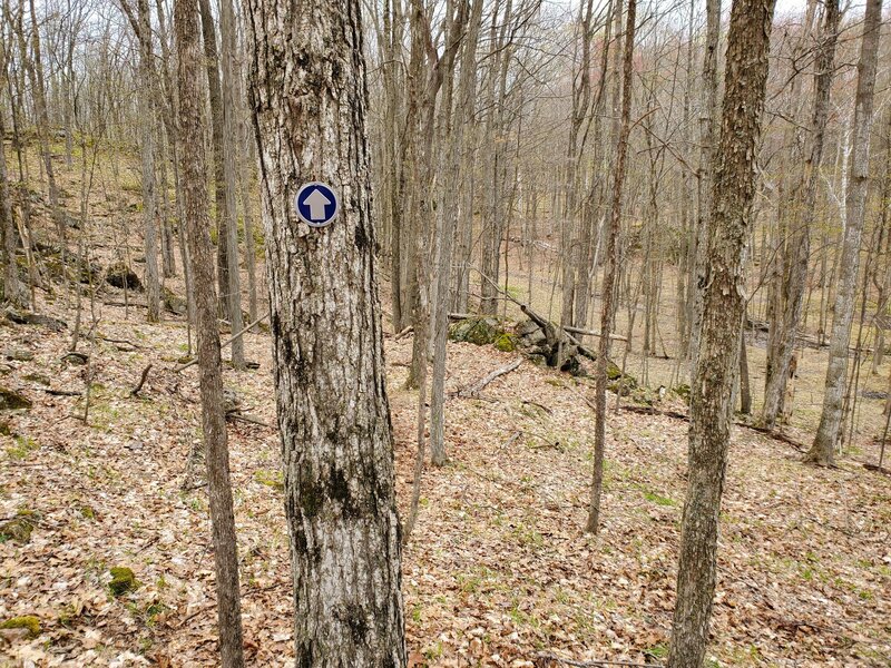 Rocky feature on the blue trail.