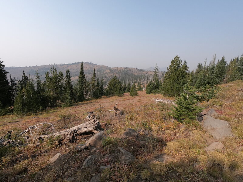 Road's End trail (9-16-2020)