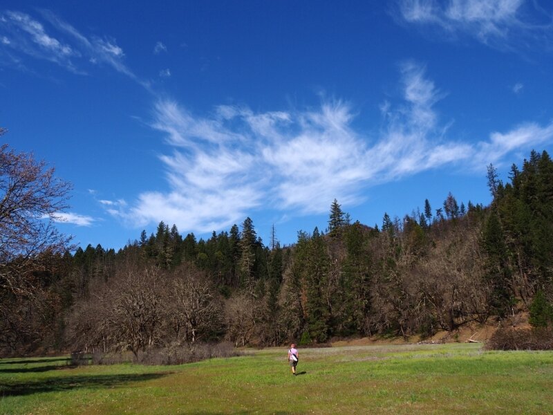 Through one of the meadows (old farm fields) along the Elk Creek Trail.