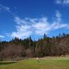 Through one of the meadows (old farm fields) along the Elk Creek Trail.