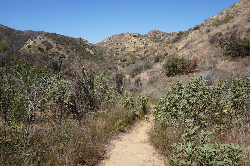 Tecate Trail