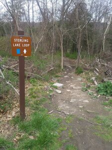 Beginning of the blue trail Sterling Lake Loop.