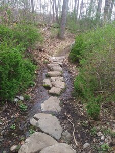 Rock crossing over a stream.