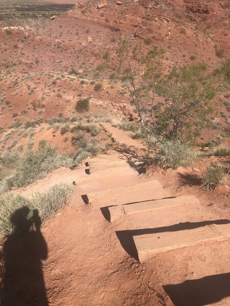 Plenty of climbing on this trail - these are only man-made steps.