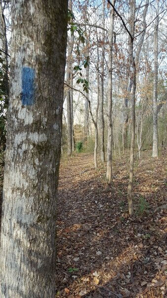 Blue Blaze Trail Markers