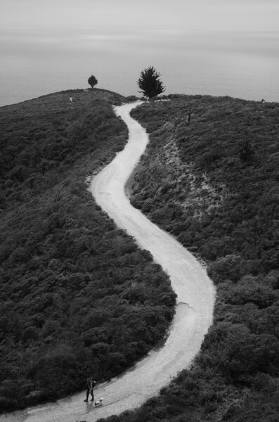 Hiker with dog walking down North Peak Access Road Trail.