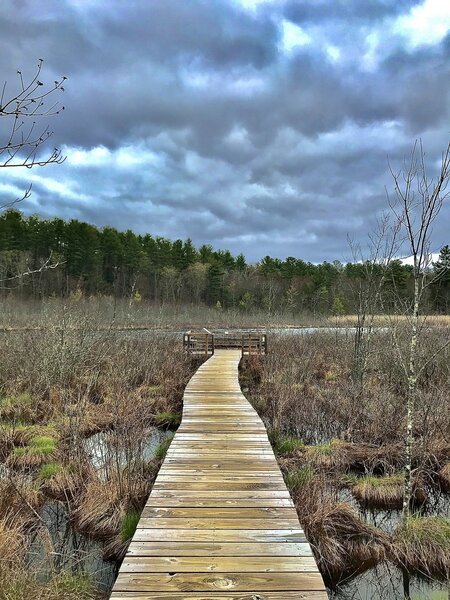 Beaver Brook Boardwalk