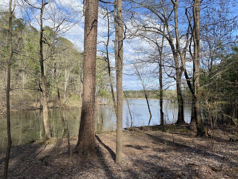 View of Kerr Lake from paved section.