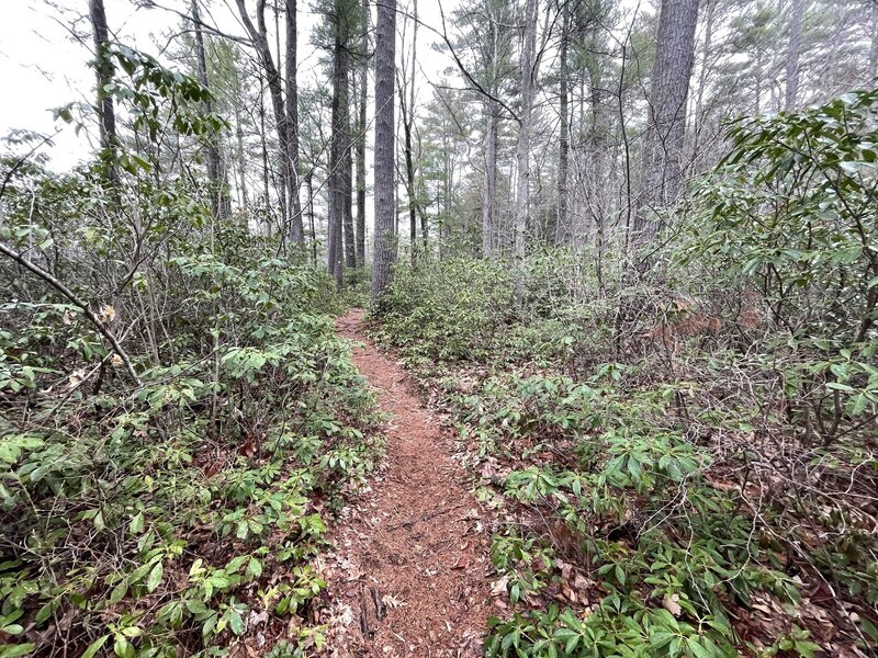 Wildlife Pond Loop Trail