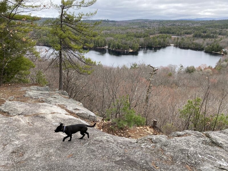 Lake Wicwas from Crocket's Ledge