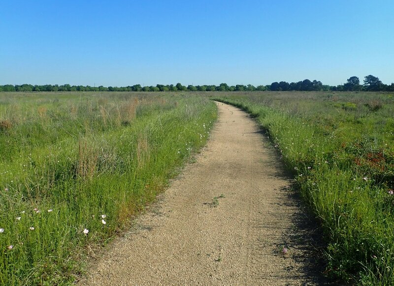 Well-groomed trails of crushed granite, which crunch underfoot.