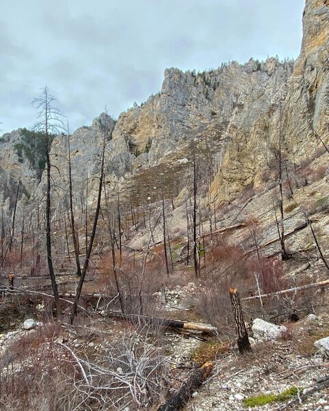 Lower Meriwether Canyon, with some of the deadfall present.