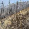 Upper Meriwether Canyon. You can see that trail could benefit from some use, as it can be faint at times.