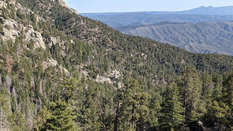 View of the Manzanita and Manzano mountains from three guns trail.