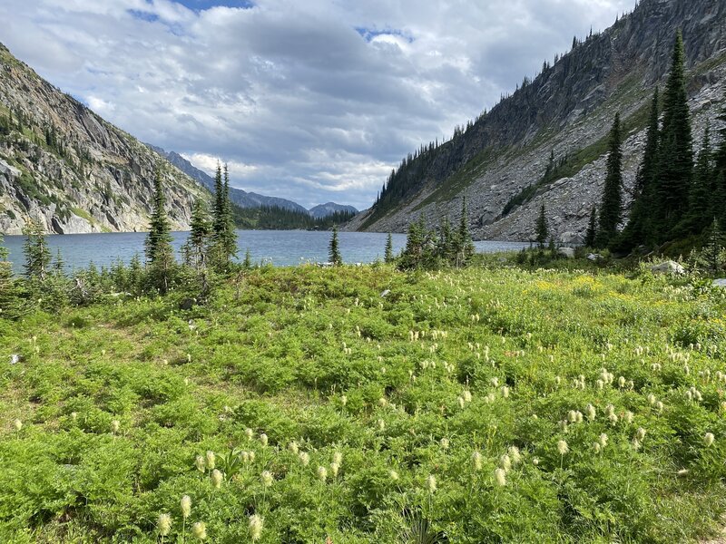 Meadows at North end of Kokanee Lake.