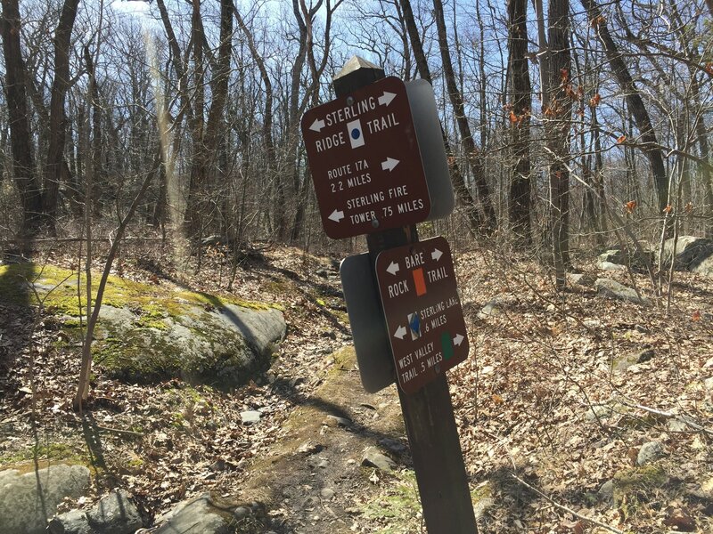 Blue Trail-Orange Trail intersection.