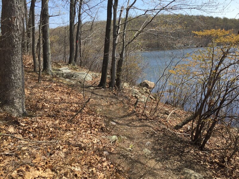 Red Trail - lake view