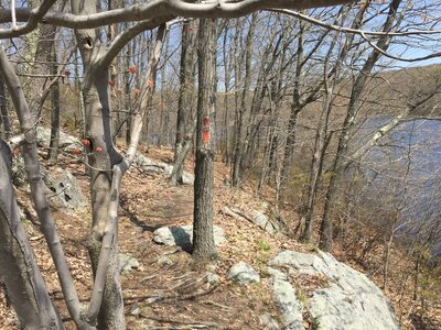 Red Trail - lake view