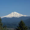 The best views of Adams on the Cook Hill loop are from the powerline clearing.