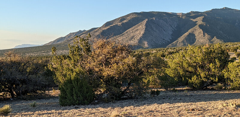 View from parking area