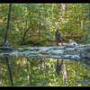 Reflection at North Valley Trail