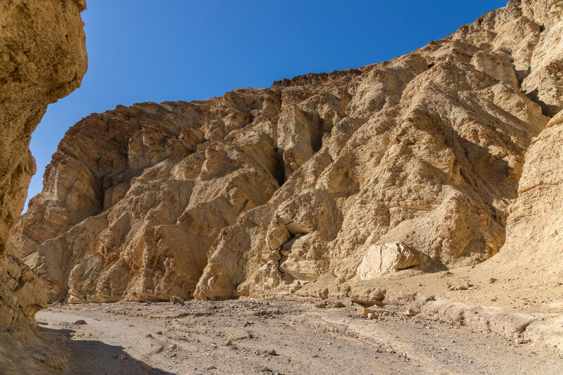 Imagine seasonal floods rushing through this canyon framed by golden colored rocks.