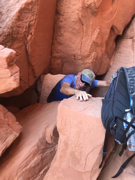 Down a rabbit hole - Silica Dome Trail from Mouse's Tank