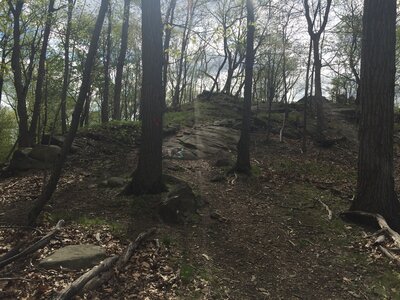 Red trail/Long Path
