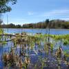 View of pond from Rideau Trail.