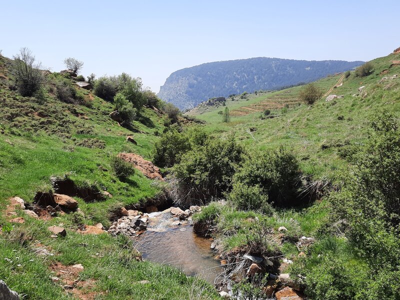 Going down into Tannourine