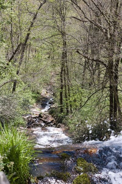 Waterfall near bottom