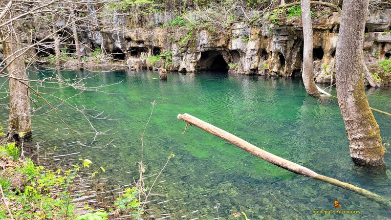 Off of the spur trail to Whites Creek float camp