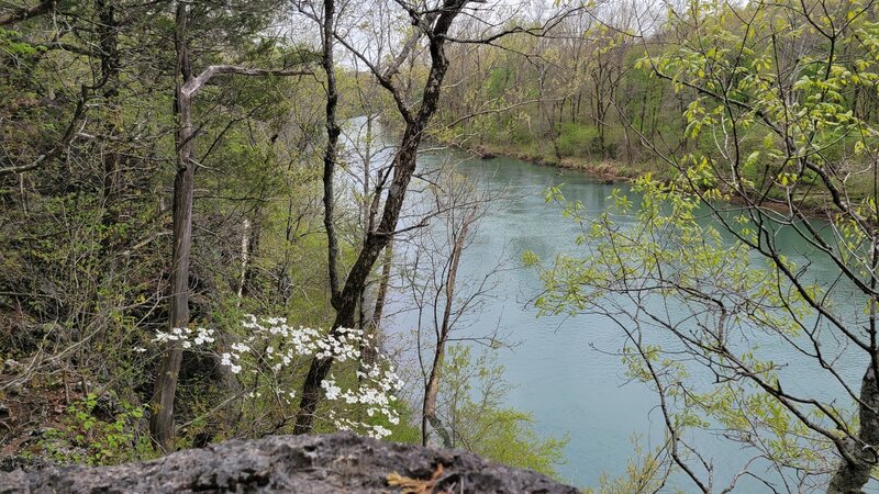 Looking at the 11 point river