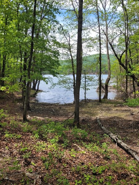 Carvins Cove Reservoir from Tinker Creek Trail (5/9)