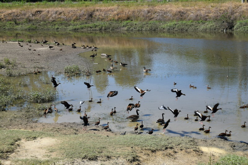 Ward Creek Greenway