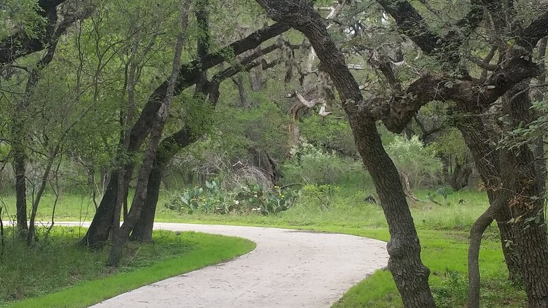 Paved path through the trees.