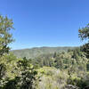 View from a bend in Sanborn Trail. The trail changes from a fire road to a hiking trail at this point.