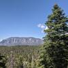 Domingo Baca Trail / TWA Flight 260 crash site Hiking Trail, Sandia  Heights, New Mexico