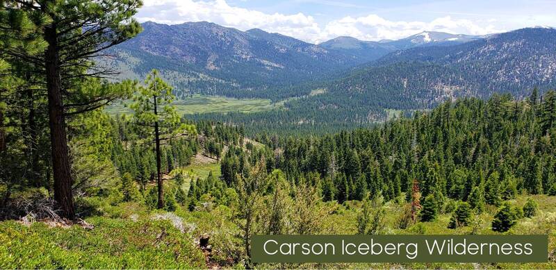 Vista View of Carson Iceberg Wilderness from High Route Trail.