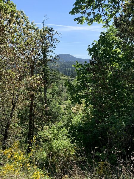 Spencer's Butte