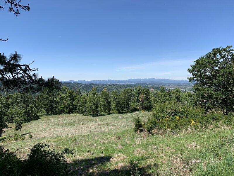 View towards Fern Ridge Resevoir.