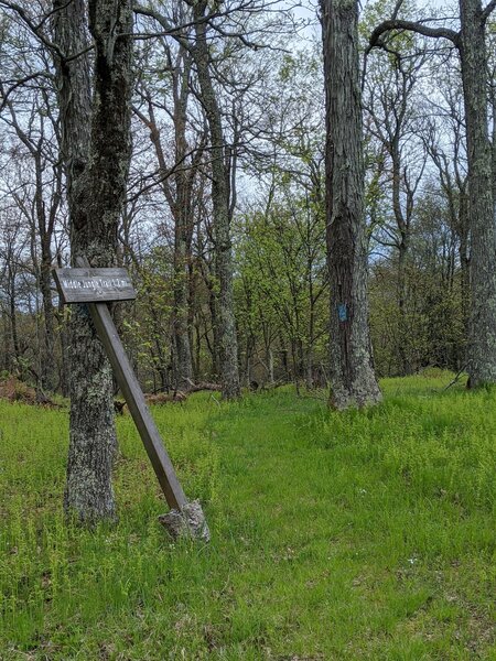 Middle Jungle Trail sign