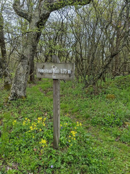 Homestead trail sign