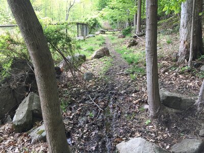 Best Hikes and Trails in West Long Branch