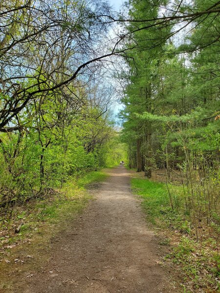 Marshlands Trail