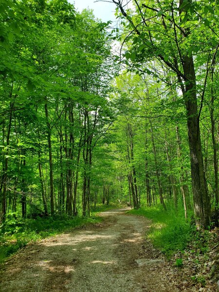 Main trail to Silver Queen mine.