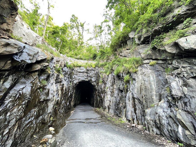 Blue Ridge Tunnel East Entrance